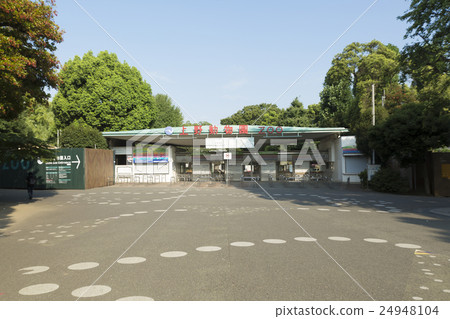 上野動物園 24948104