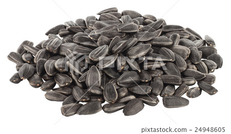 pile of sunflower seeds isolated pile of sunflower seeds isolated 24948605