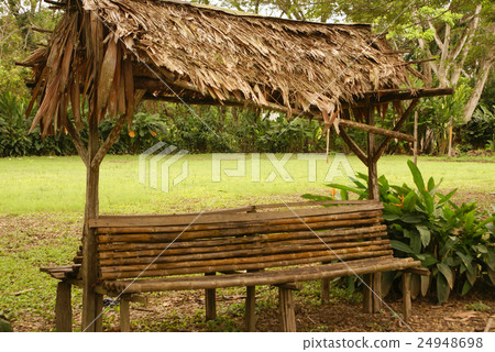 Peru, Peruvian Amazonas landscape. Peru, Peruvian Amazonas landscape. 24948698