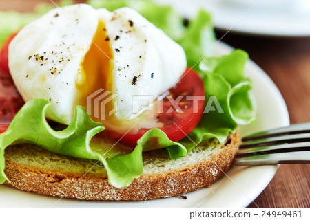 toast with poached egg toast with poached egg 24949461