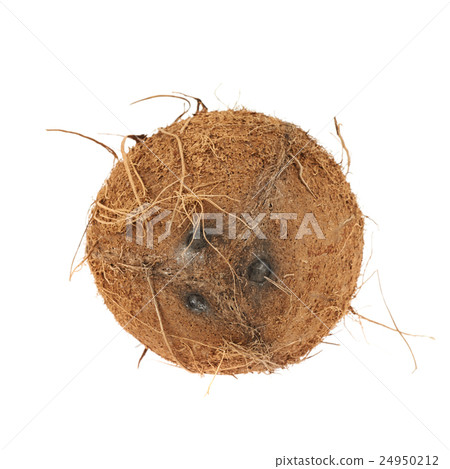 Whole coconut fruit isolated 24950212