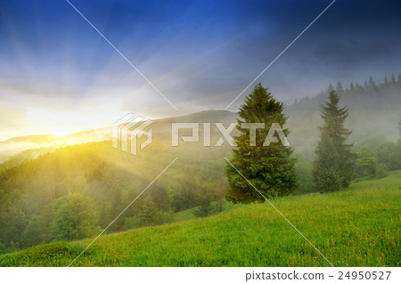 Landscape with fog in mountains Landscape with fog in mountains 24950527