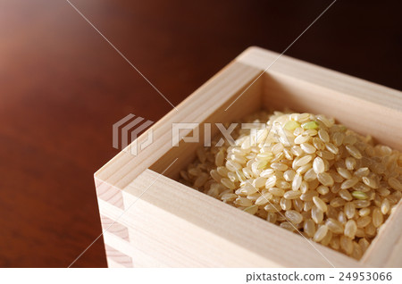 Up brown rice served in a cypress hinoki 24953066