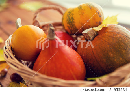 close up of pumpkins in basket on wooden table 24953384