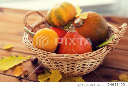 close up of pumpkins in basket on wooden table 24953423