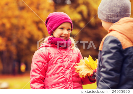 little boy giving autumn maple leaves to girl 24955990