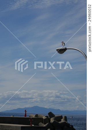 燈塔的看法 24960032