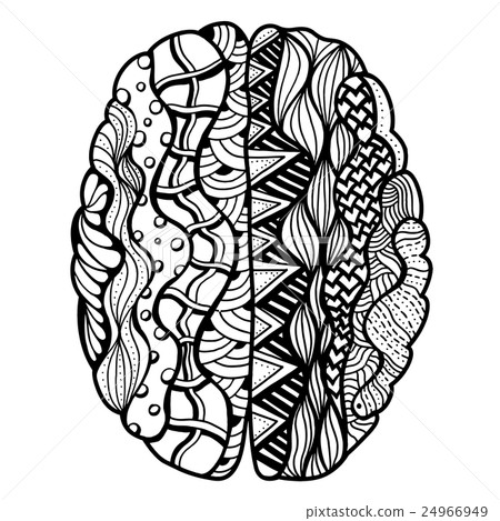 Human Brain doodle 24966949