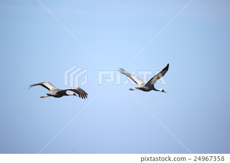 兩個法力起重機 24967358