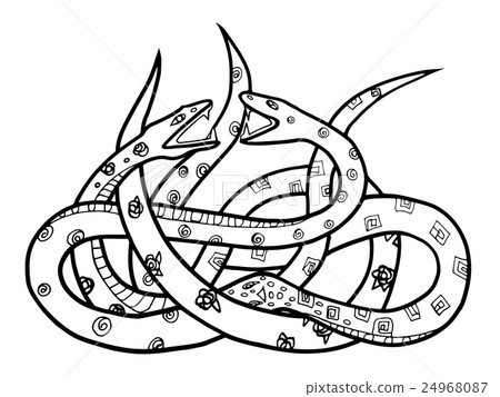two snakes two snakes 24968087