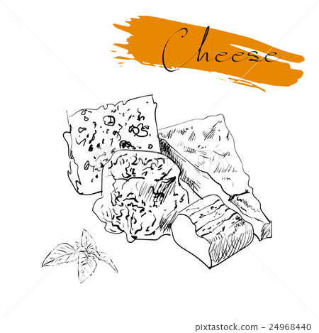 Cheese types. Delicious fresh cheese variet cheese 24968440
