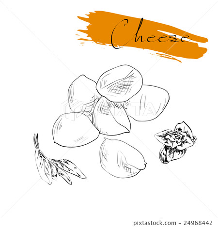 Cheese types. Delicious fresh cheese variet cheese Cheese types. Delicious fresh cheese variet cheese 24968442