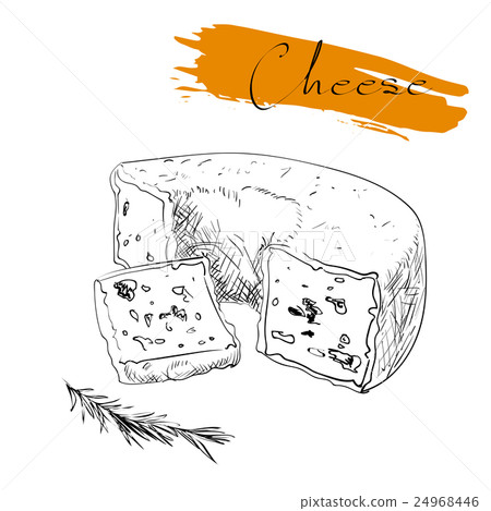 Cheese types. Delicious fresh cheese variet cheese Cheese types. Delicious fresh cheese variet cheese 24968446