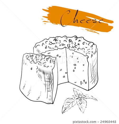 Cheese types. Delicious fresh cheese variet cheese Cheese types. Delicious fresh cheese variet cheese 24968448