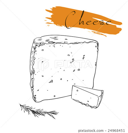 Cheese types. Delicious fresh cheese variet cheese 24968451