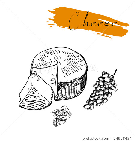 Cheese types. Delicious fresh cheese variet cheese 24968454