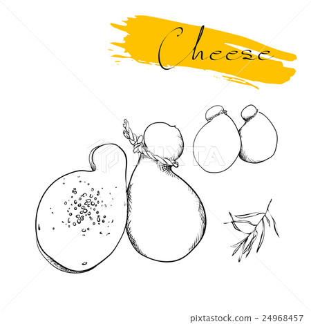 Cheese types. Delicious fresh cheese variet cheese Cheese types. Delicious fresh cheese variet cheese 24968457