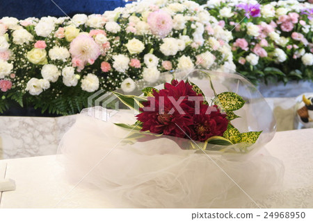 Dalia I liked the deceased 24968950