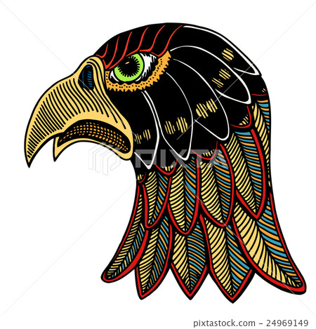 Color Eagle head 24969149
