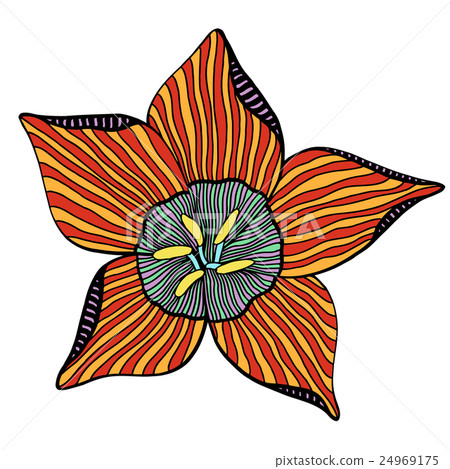Vector flower isolated Vector flower isolated 24969175