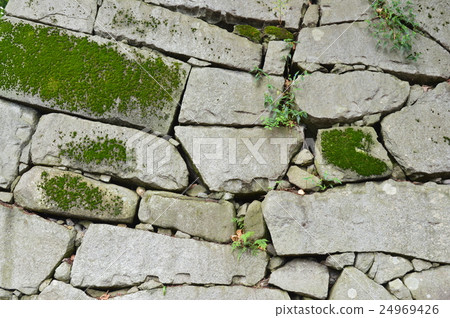 Morioka Castle Ishigaki (Morioka Castle Ruins Park (Iwate Park) / 1-37 Maruoka, Morioka City, Iwate Prefecture) 24969426