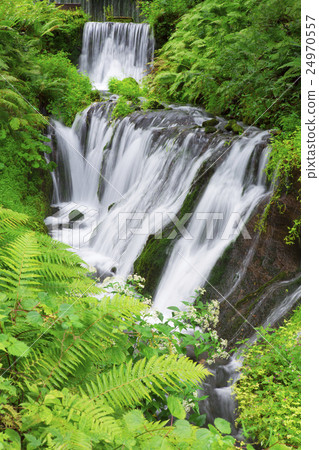 Downstream of Karuizawa Shiraito Falls 24970557