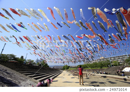 Takatsuki Koinobori Takatsuki Koinobori 24971014