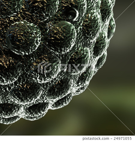 3D render virus cells. 24971055