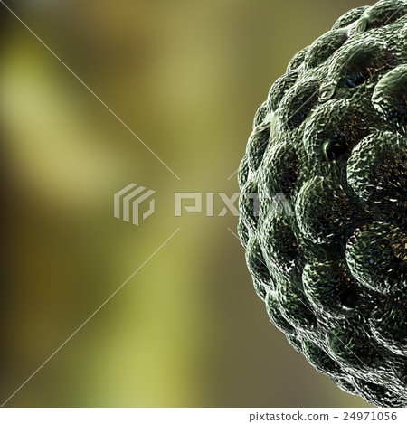 3D render virus cells. 24971056