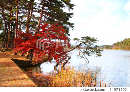 Southern Lake Park in autumn 24971292
