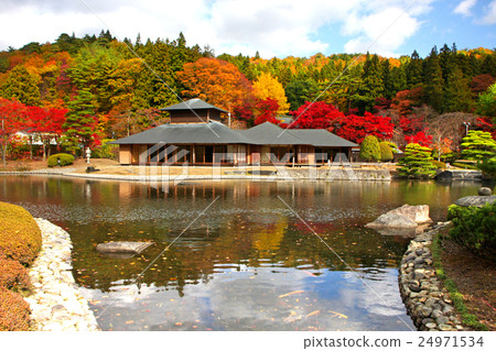 Autumn leaves 24971534