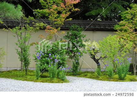 Ryusanji寺廟庭院視圖在京都 24972598