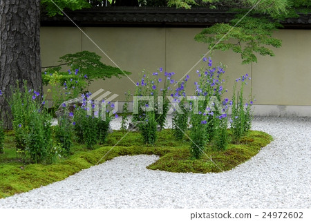 Ryusanji寺廟庭院視圖在京都 24972602