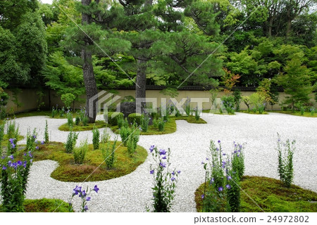 Ryusanji寺廟庭院視圖在京都 24972802