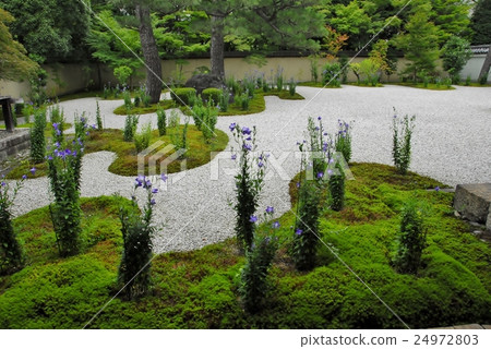 Ryusanji寺廟庭院視圖在京都 24972803
