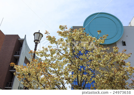 Osaka Mint Bureau · Cherry blossom walkthrough 24973638