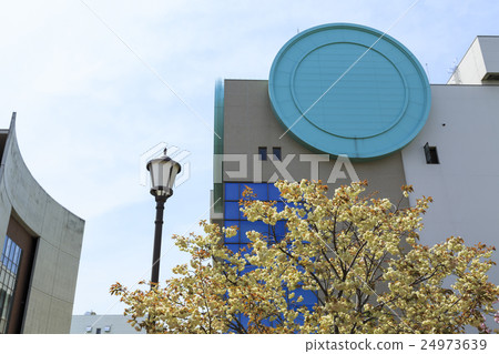 Osaka Mint Bureau · Cherry blossom walkthrough Osaka Mint Bureau · Cherry blossom walkthrough 24973639