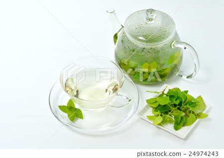 薄荷茶/香草茶（在家裡的花壇上採摘薄荷葉） 24974243