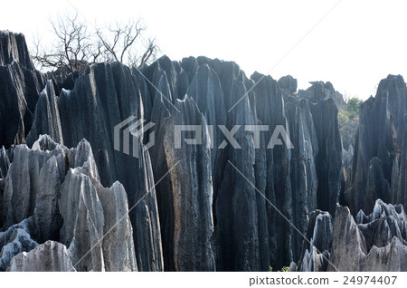中國雲南省的石頭風景 24974407