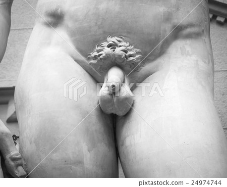 Closeup of the penis Classic statue 24974744