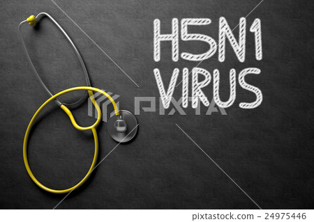 H5N1 - Text on Chalkboard. 3D Illustration. 24975446