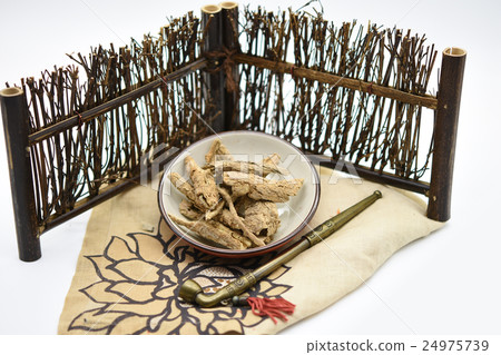 地骨皮 地骨皮 24975739