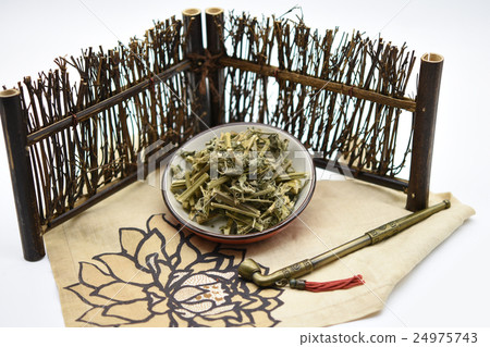 豨薟草 豨薟草 24975743