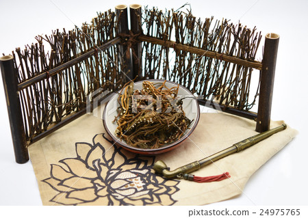 地蜈蚣 地蜈蚣 24975765