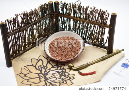 iko子 iko子 24975774