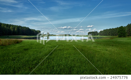 panorama of summer lake on the background forest panorama of summer lake on the background forest 24975776
