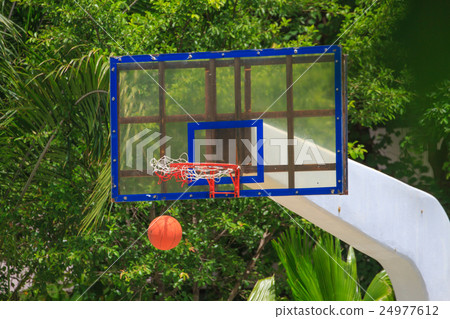 Basket ball heading the hoop 24977612