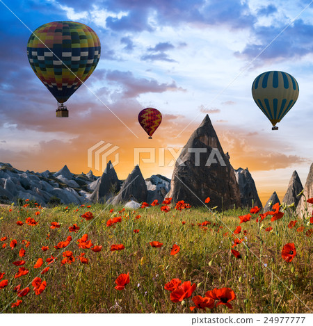 Hot air balloons flying over Cappadocia, Turkey 24977777