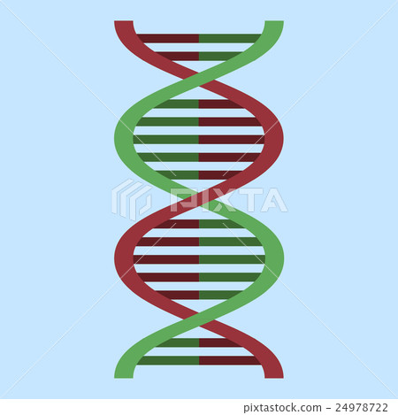 Vector colour illustration DNA icon flat 24978722
