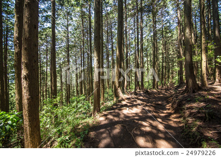 From Mt. Takao to Kageiyama mountain climbing course From Mt. Takao to Kageiyama mountain climbing course 24979226